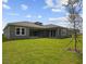 Lush backyard with green lawn, featuring a newly planted tree and exterior views of the modern home at 5116 Wildwind Dr, Apollo Beach, FL 33572