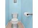 Light blue bathroom with toilet and a decorative ocean themed art piece at 8315 W Elm St, Tampa, FL 33615