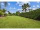 Expansive backyard featuring lush green grass, mature landscaping, and a serene, private setting at 8413 Swiss Chard Cir, Land O Lakes, FL 34637