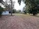 Expansive backyard showcasing mature trees and a separate building, ideal for creating your outdoor oasis at 1002 W Pinedale Dr, Plant City, FL 33563