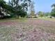 Generous backyard space with scattered trees, perfect for gardening, recreation, or adding custom features at 1002 W Pinedale Dr, Plant City, FL 33563
