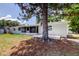 Exterior view from backyard showing grassy area, large tree, and covered lanai with the home at 10744 Drummond Rd, Tampa, FL 33615