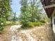 Lush, partially shaded backyard with mature trees and foliage at 1228 Rainbrook Cir, Valrico, FL 33596
