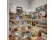 Walk-in pantry offering generous storage with shelving stocked full of various food items and kitchen appliances at 12957 Satin Lily Dr, Riverview, FL 33579
