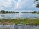 Scenic view of the lake with a fountain in the middle, surrounded by lush greenery and residential homes at 13157 Kings Crossing Dr, Gibsonton, FL 33534