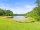 Scenic backyard view of a tranquil lake surrounded by lush greenery, creating a private and serene atmosphere at 14134 Trouville Dr, Tampa, FL 33624