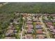 Aerial view of homes in a planned community with lush trees and landscaping at 14715 Fishhawk Preserve Dr, Lithia, FL 33547