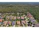 Aerial view of a quiet neighborhood showcasing mature trees and landscaping at 14715 Fishhawk Preserve Dr, Lithia, FL 33547