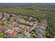 Aerial view of homes in a planned community with lush trees and landscaping at 14715 Fishhawk Preserve Dr, Lithia, FL 33547