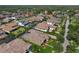 Aerial view of the homes in the neighborhood showing lush landscaping at 14715 Fishhawk Preserve Dr, Lithia, FL 33547