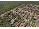 Aerial view of homes in a planned community with lush trees and landscaping at 14715 Fishhawk Preserve Dr, Lithia, FL 33547