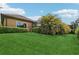 Green backyard of house boasts lush lawn and mature tropical landscaping at 14715 Fishhawk Preserve Dr, Lithia, FL 33547
