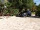 Paver driveway with lush landscaping at 31 Freshwater Dr, Palm Harbor, FL 34684
