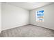 Bedroom featuring neutral carpet, a window, and lots of natural light at 31355 Amberview Bnd, Wesley Chapel, FL 33545