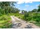 Gravel driveway leading to a charming two-story home surrounded by lush greenery and mature trees at 37309 Fountain Rd, Zephyrhills, FL 33542