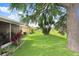 Spacious backyard featuring green grass, trees, and landscaping at 5525 Turtle Crossing Loop, Tampa, FL 33625