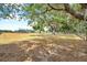 Picturesque home situated on sprawling land with majestic trees, a true outdoor haven at 602 Swilley Rd, Plant City, FL 33567