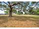 Lush, private land with mature trees, offering a serene and peaceful setting at 602 Swilley Rd, Plant City, FL 33567