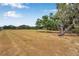 Grassy area with large live oak tree in the yard at 602 Swilley Rd, Plant City, FL 33567
