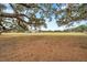 Large property with trees and a structure in the background at 602 Swilley Rd, Plant City, FL 33567