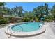 A spacious community pool with lounge chairs and umbrellas for relaxing by the water at 6101 Willow Oak Cir, Bradenton, FL 34209