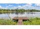 Beautiful waterfront view with a wooden dock, a tranquil lake, and lush green vegetation at 707 Warren Rd, Lutz, FL 33548