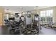 Well-equipped gym with weight machines and mirrored walls for a comprehensive fitness experience at 727 Coral Reef Dr, Tampa, FL 33602