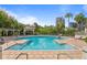 Large swimming pool surrounded by tropical landscaping and clear blue skies offers a resort-like experience at 727 Coral Reef Dr, Tampa, FL 33602