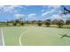 Outdoor basketball court with hoops, green surface, and surrounded by trees and fencing at 10104 Carloway Hills Dr, Wimauma, FL 33598