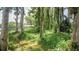 Secluded backyard with lush greenery and lake access for a tranquil, private retreat at 10818 Land O Lakes Blvd, Land O Lakes, FL 34638