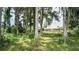 Spacious backyard offering privacy and natural beauty, perfect for outdoor activities and relaxation at 10818 Land O Lakes Blvd, Land O Lakes, FL 34638