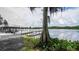 Split view of lake with a dock, one in color and one in black and white at 10818 Land O Lakes Blvd, Land O Lakes, FL 34638