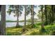 Picturesque lake view featuring mature trees and dock with a boat lift, creating a tranquil environment at 10818 Land O Lakes Blvd, Land O Lakes, FL 34638