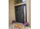 Beautiful front door with side window and a lovely flower arrangement at 11324 Cypress Reserve Dr, Tampa, FL 33626