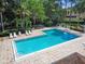 Sparkling community pool with ample lounge seating amidst tropical landscaping at 1175 San Carlos Ne Ave, St Petersburg, FL 33702