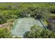 Aerial view of the tennis courts surrounded by trees and lush landscaping at 1175 San Carlos Ne Ave, St Petersburg, FL 33702