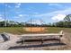 Baseball field with a backstop and benches in a grassy area, perfect for community sports and recreation at 11927 Steppingstone Blvd, Tampa, FL 33635