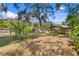 Large backyard features mature trees, a wooden fence, and a mix of landscaping at 1402 E Mohawk Ave, Tampa, FL 33604