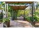 Brick patio under a canvas pergola with string lights and lush bamboo accents creates a charming backyard oasis at 1402 E Mohawk Ave, Tampa, FL 33604