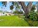 Large backyard featuring a large mature tree, lush lawn, and flowering garden beds at 5800 3Rd S St, St Petersburg, FL 33705