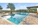 Community pool with lounge chairs, palm trees, and a spacious pool deck, perfect for relaxation at 6097 Golden Nettle Dr, Apollo Beach, FL 33572