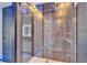 Luxurious shower features dual shower heads and a stylish glass enclosure at 6530 Simone Shores Cir, Apollo Beach, FL 33572