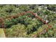 Aerial view of property with a red boundary line, featuring lush trees at 7644 Conrad St, Wesley Chapel, FL 33544