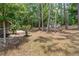 Expansive backyard with mature trees, landscaping, and a view of the deck at 7644 Conrad St, Wesley Chapel, FL 33544