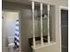 Bathroom featuring a toilet and sink, divided by decorative columns, with a glimpse of a shower curtain at 116 Cranbrooke Dr, Seffner, FL 33584