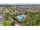 Aerial view of the community pool area, showcasing the pool, pavilion, and surrounding landscaping at 1767 Tonka Ter, Wesley Chapel, FL 33543