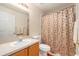 Functional bathroom with vanity sink, toilet, and shower with decorative curtain at 18967 Wood Sage Dr, Tampa, FL 33647