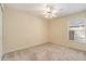 Bright and spacious bedroom with neutral carpet and natural light from the window at 18967 Wood Sage Dr, Tampa, FL 33647