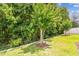 Lush green backyard featuring mature trees and well-maintained landscaping, creating a serene outdoor space at 32825 Sand Creek Dr, Wesley Chapel, FL 33543