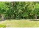 Spacious backyard with lush greenery providing privacy and a peaceful outdoor retreat at 32825 Sand Creek Dr, Wesley Chapel, FL 33543